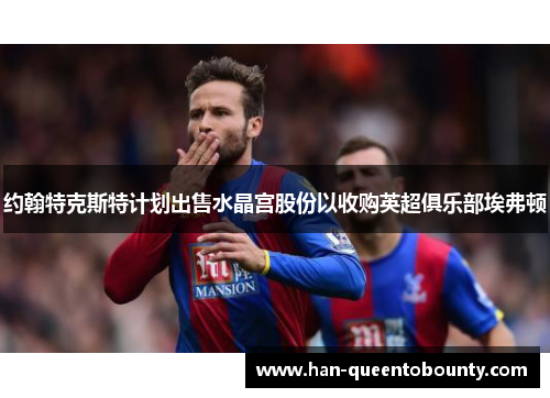 约翰特克斯特计划出售水晶宫股份以收购英超俱乐部埃弗顿