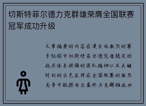 切斯特菲尔德力克群雄荣膺全国联赛冠军成功升级 切斯特菲尔德力克群雄荣膺全国联赛冠军成功升级